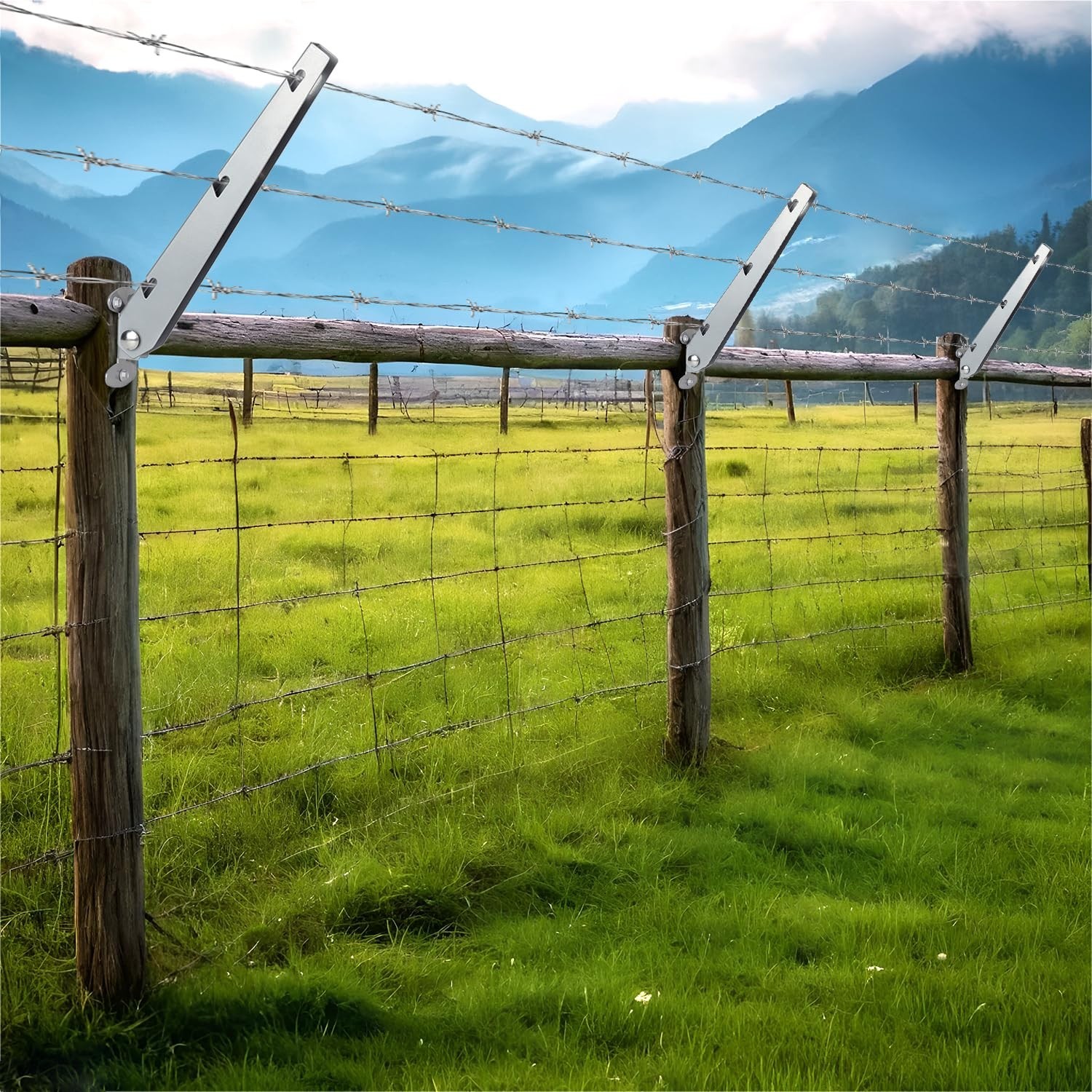 Flexible Barbed Wire Extensions for Garden and Home – 10 Rustic Arms for Fencing