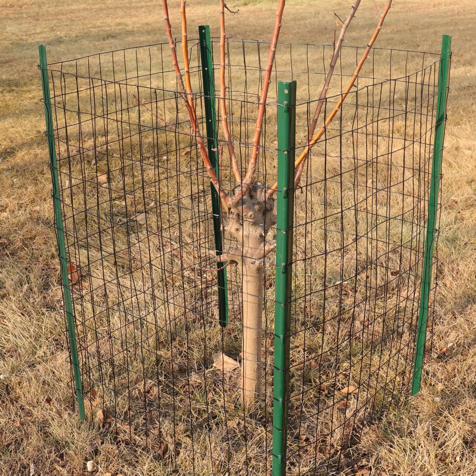 Black PVC Coated Welded Wire Fence 24 Inch x 25 Foot, 2 Inch x 3 Inch 16GA, G…
