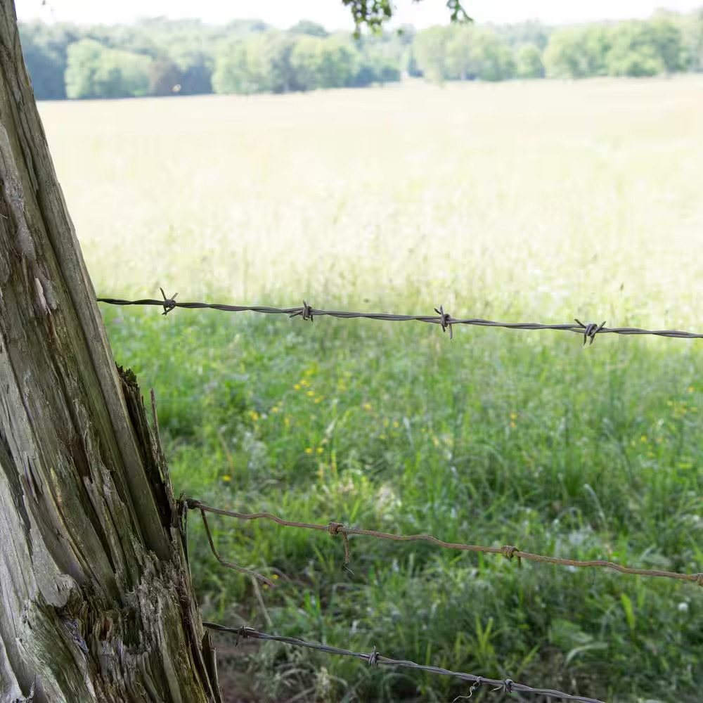 Durable 1,320 Ft. 15-1/2-Gauge 4-Poin High-Tensile Galvanized Steel Barbed Wire