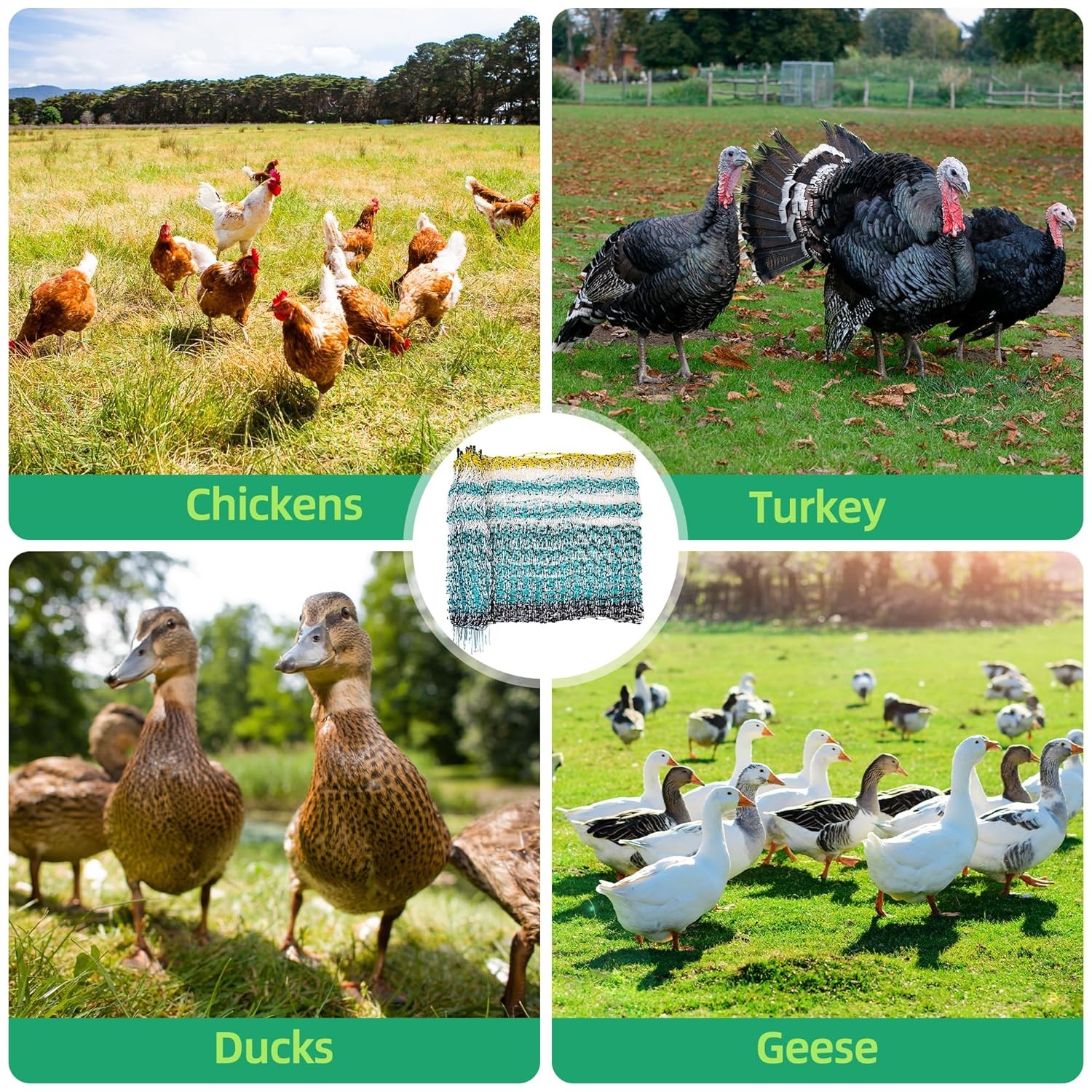 Sturdy Poultry Netting Electric Fence 41.5″ Hx164′ L for Farms, Ranches, Gardens