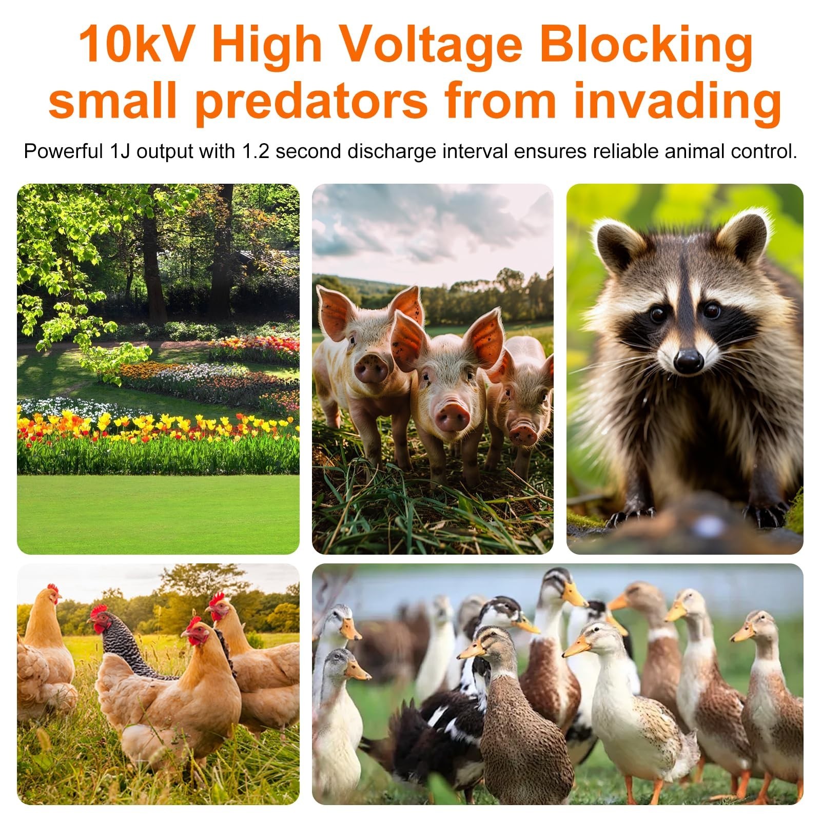 10KV Electric Fence Charger with LED Indicator, 5 Miles Range, Waterproof Kit fo