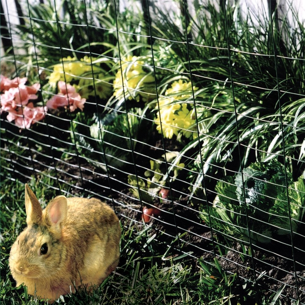 1″ x 4″ Welded Wire Fence – 28″ x 50′ Galvanized Steel for Rabbit Fencing &
