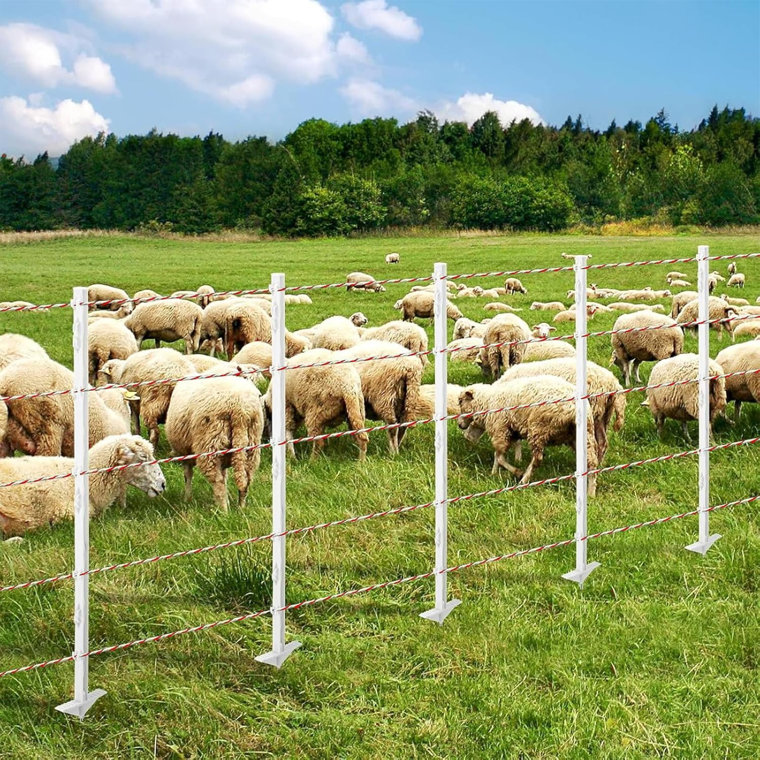 Ultra-Low Resistance Electric Fence Polywire for Animal Containment and Security