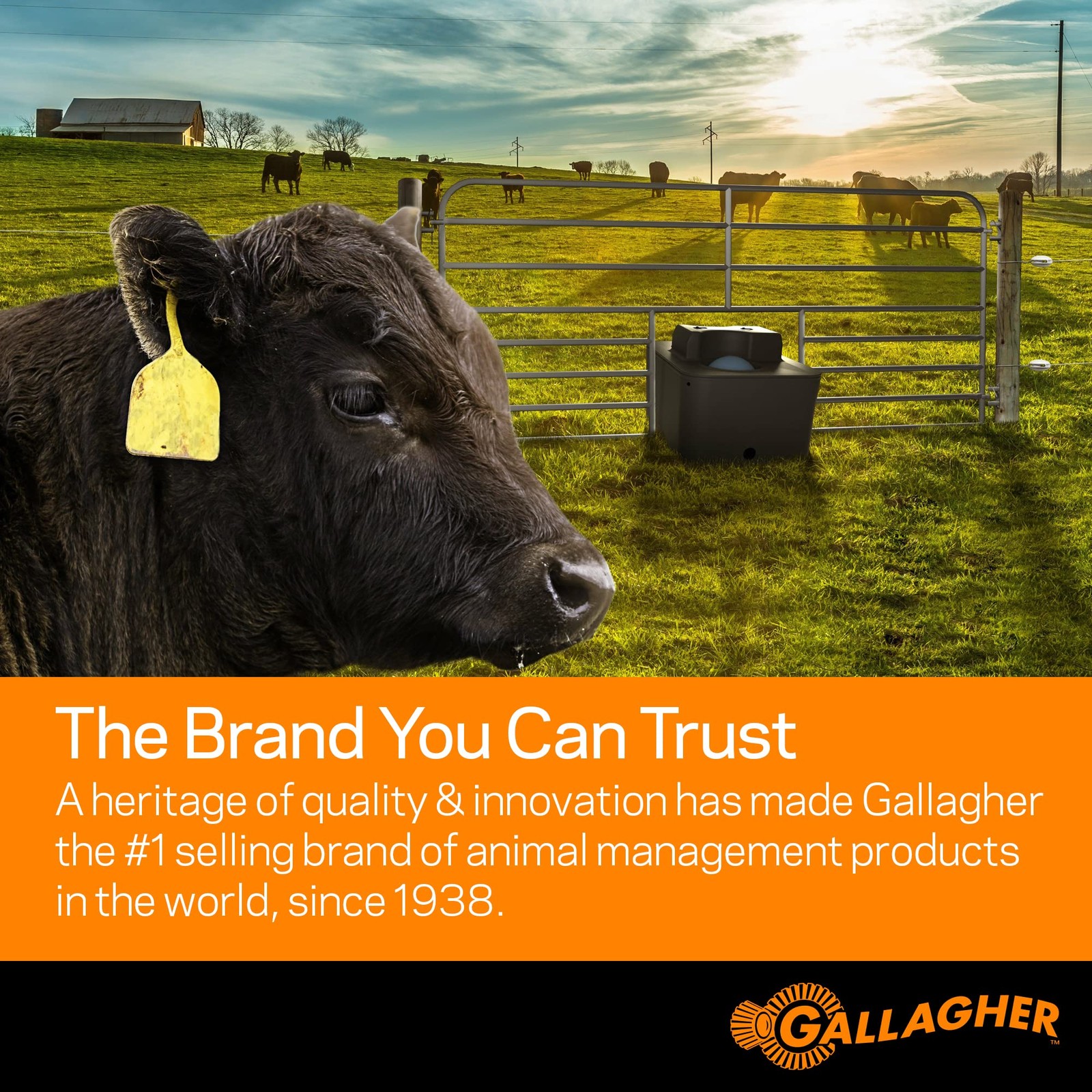 Gallagher Smart Fence 2 | Portable Electric for Livestock Black
