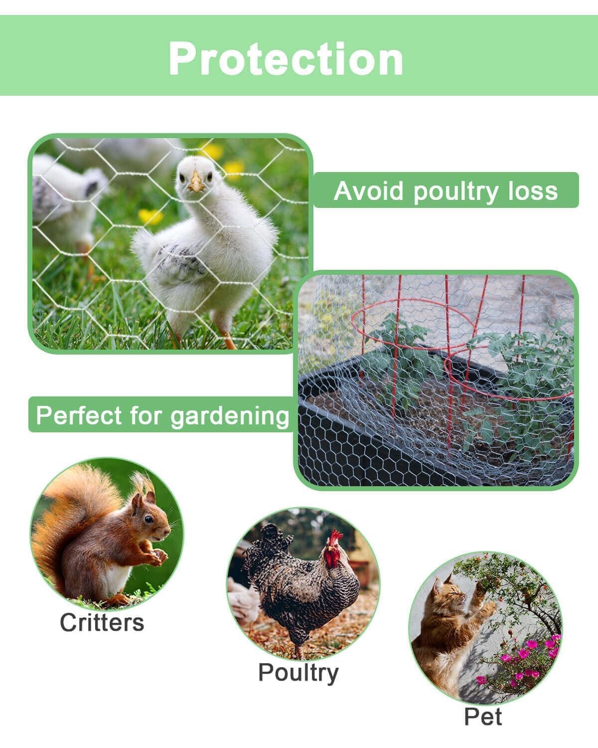 Galvanized Chicken Wire Mesh – Garden Animal Barrier Fence, 0.8 inch