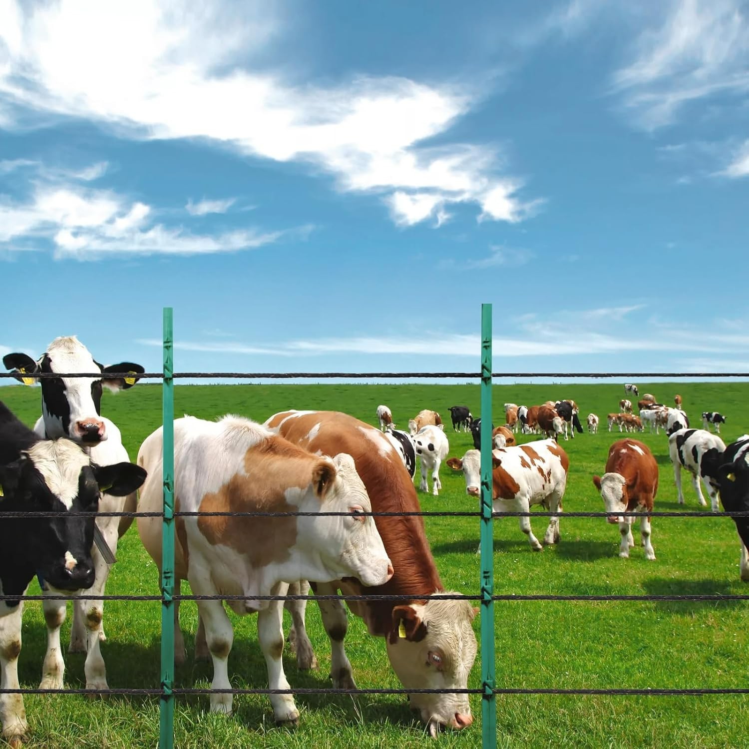 Electric Fence Wire, 1000Ft 305M Portable Polywire, 1/4″ Diameter 2 Copper