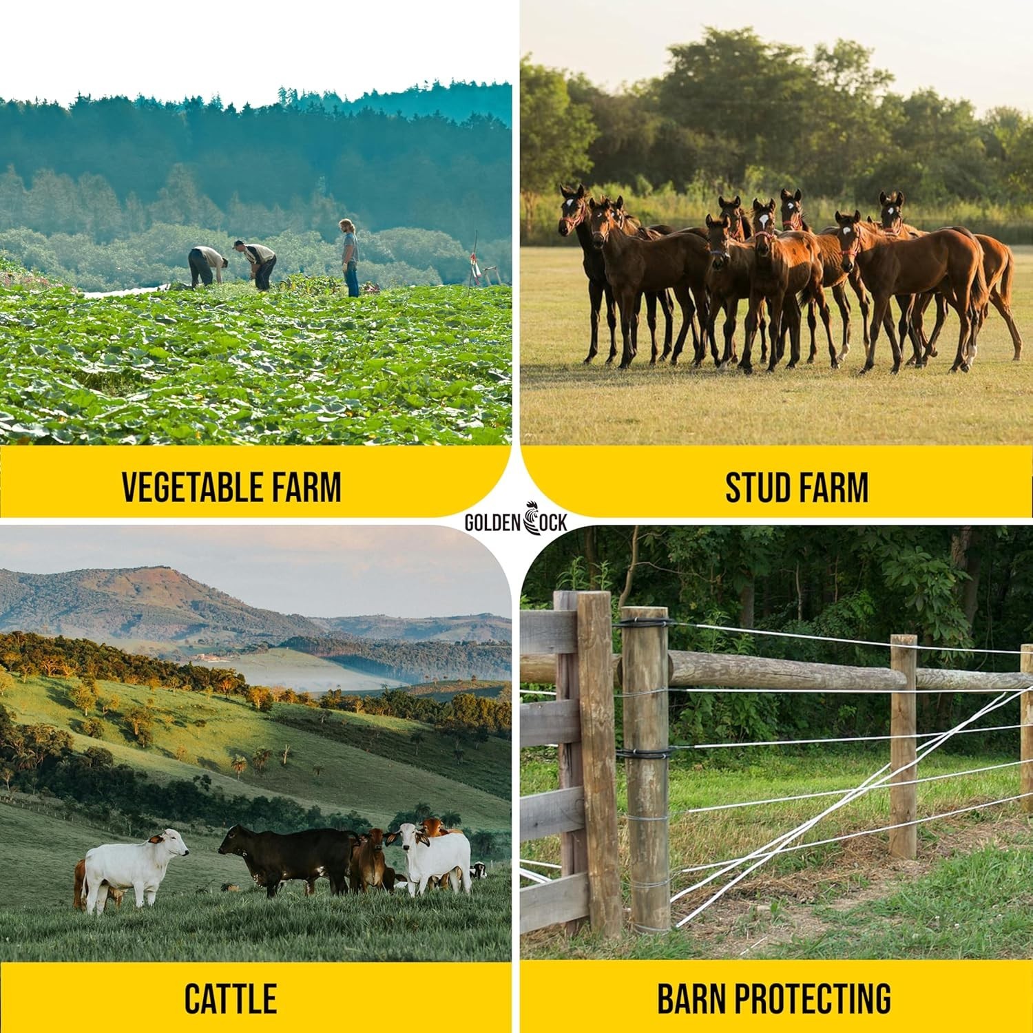 Ultra Strong 1000 ft Electric Fence Wire – 1/4″ Diameter for Lasting Durability
