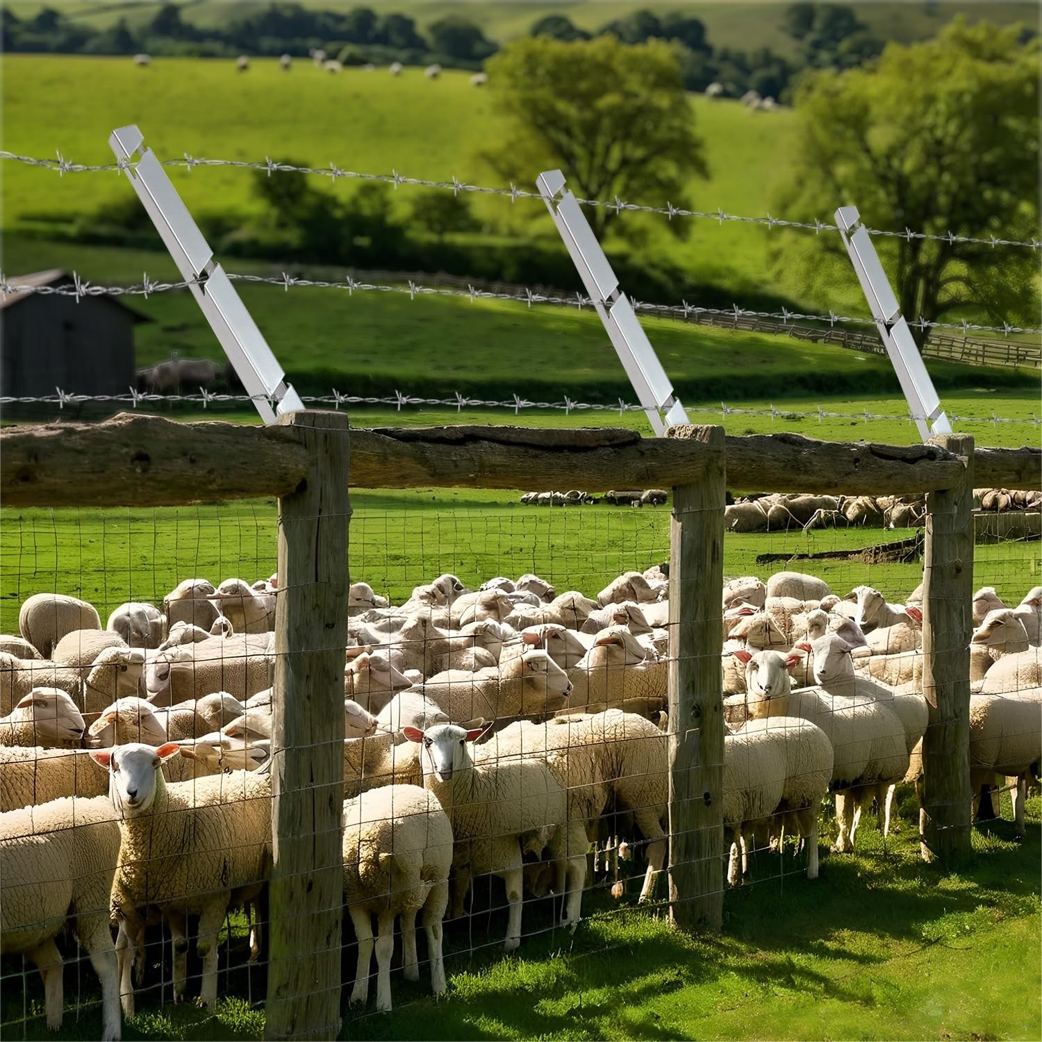 Flexible Barbed Wire Extensions for Garden and Home – 10 Rustic Arms for Fencing