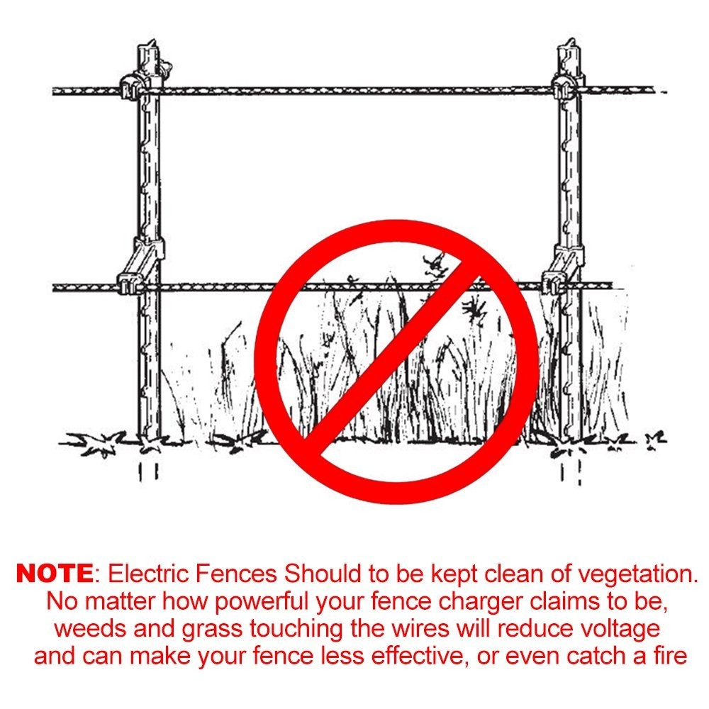 Reliable 656ft Electric Polywire for Livestock – UV Treated & High Visibility