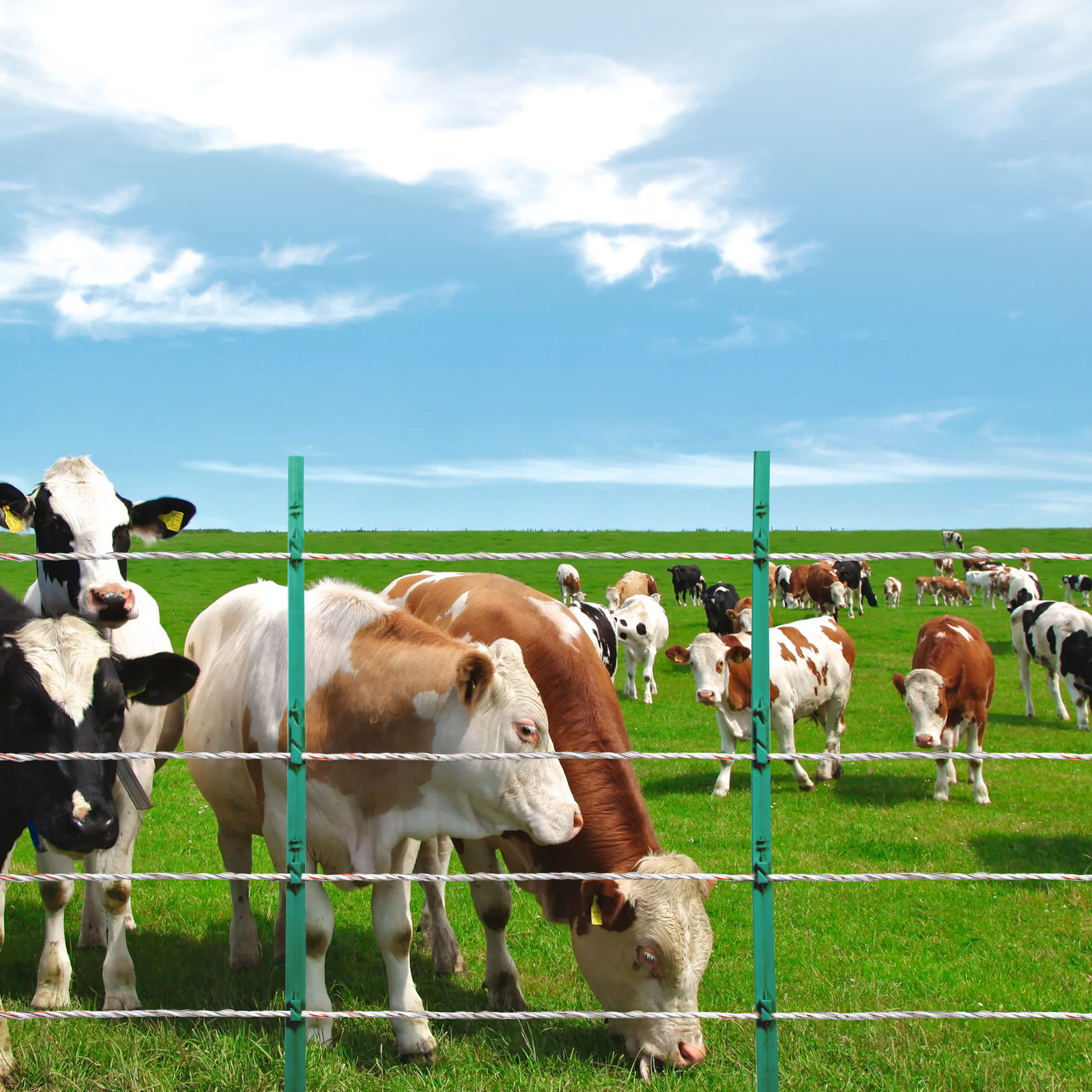 VEVOR 2625Ft 800M Electric Fence Wire Fencing Polywire Horse Cattle Livestock